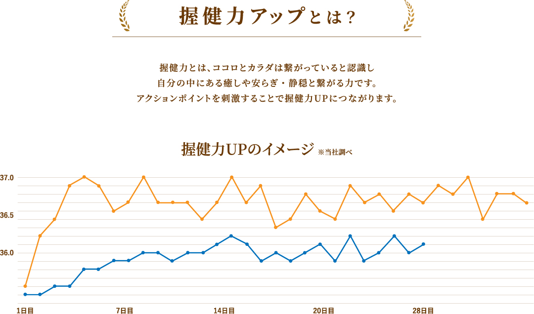 握健力アップとは？
